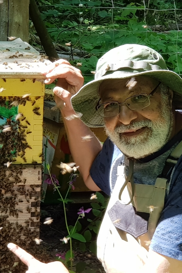 Garchinger Insel der Bienen - Klimaschutzprojekte München und Partnerschaft Nachhaltigkeit München