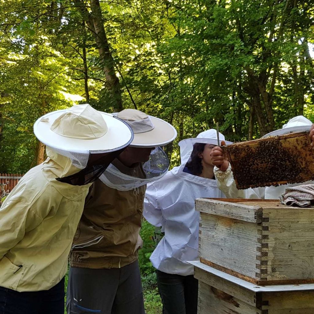Garchinger Insel der Bienen - Klimaschutzprojekte München und Partnerschaft Nachhaltigkeit München
